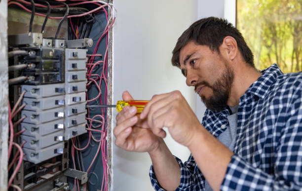 Best Electrical Rewiring Services  in Wyoming, MN